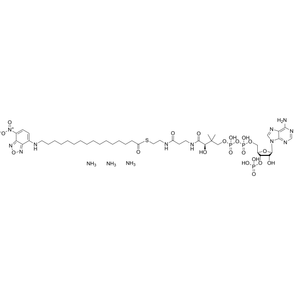 16-NBD-16:0 Coenzyme A triammonium 1367862-09-6